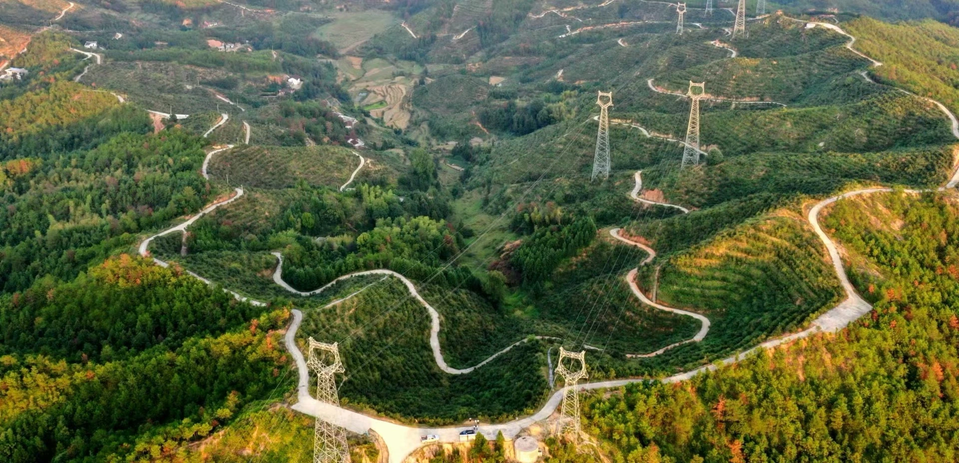 江西兴国油茶基地原始航拍实景